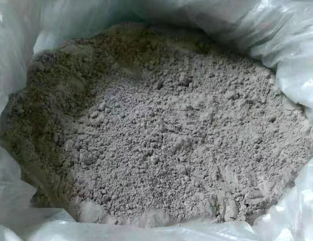 �o�C�������